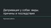 Депривация у собак: виды, причины и последствия. Курсовая работа