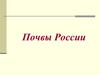 Почвы России