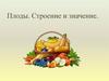 Плоды. Строение и значение