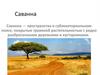 Саванна. Географическое положение