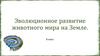 Эволюционное развитие животного мира на Земле