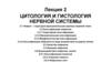 Лекция 2. Цитология и гистология нервной системы