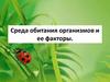 Среда обитания организмов и ее факторы