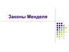 Законы Менделя