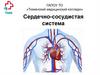 Сердечно-сосудистая система