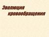 Эволюция кровообращения