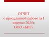 Отчёт о проделанной работе за I квартал 2025 г. ООО «БИГ»