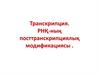 Транскрипция. РНҚ-ның посттранскрипциялық модификациясы