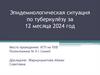 Эпидемиологическая ситуация по туберкулёзу за 12 месяца 2024 год