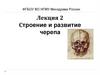 Строение и развитие черепа. Лекция 2