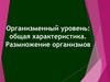 Организменный уровень: общая характеристика. Размножение организмов