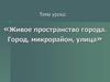 Живое пространство города. Город, микрорайон, улица