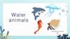 Water animals