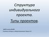 Структура индивидуального проекта. Типы проектов