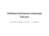 Киберспортивная команда Falcons