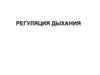 Регуляция дыхания