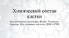 Химический состав клетки. Биологические полимеры. Белки. Углеводы. Липиды. Нуклеиновые кислоты. ДНК и РНК