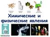 Химические и физические явления. Признаки химической реакции