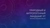 Природный и антропогенный ландшафт РТ. Что такое природный и антропогенный ландшафт?
