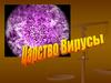 Вирусы. Схематичное строение
