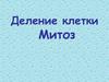 Деление клетки. Митоз
