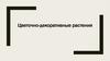 Цветочно-декоративные растения