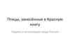 Птицы, занесённые в Красную книгу. Редкие и исчезающие виды России