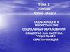 Особенности и многообразие социальных образований. Общество как система. Социальная стратификация. Тема 2